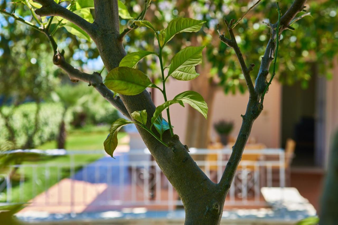 Villa Moma Palio Gerani Esterno foto